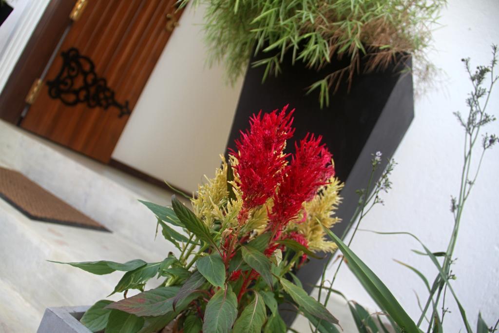 Binnacle Negombo Exterior photo